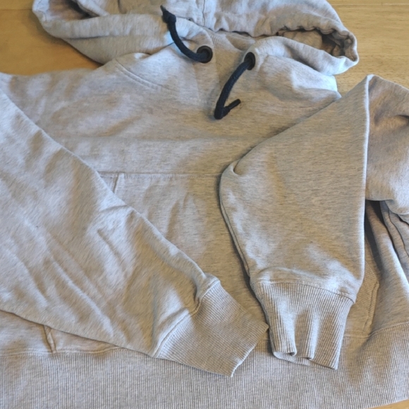 Ivy Park Gray Hoodie - Picture 5 of 7